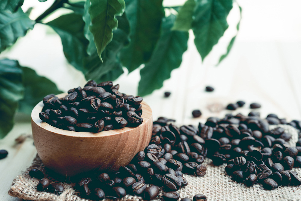 コーヒー豆の焙煎度８種類と味の変化 焙煎度合いごとにおすすめな豆も紹介 大社珈琲